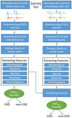 Identifying Patients With Coronary Artery Disease Using Rest and Exercise Seismocardiography